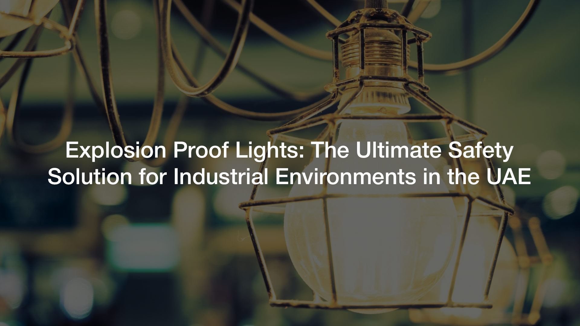 Explosion proof Lights